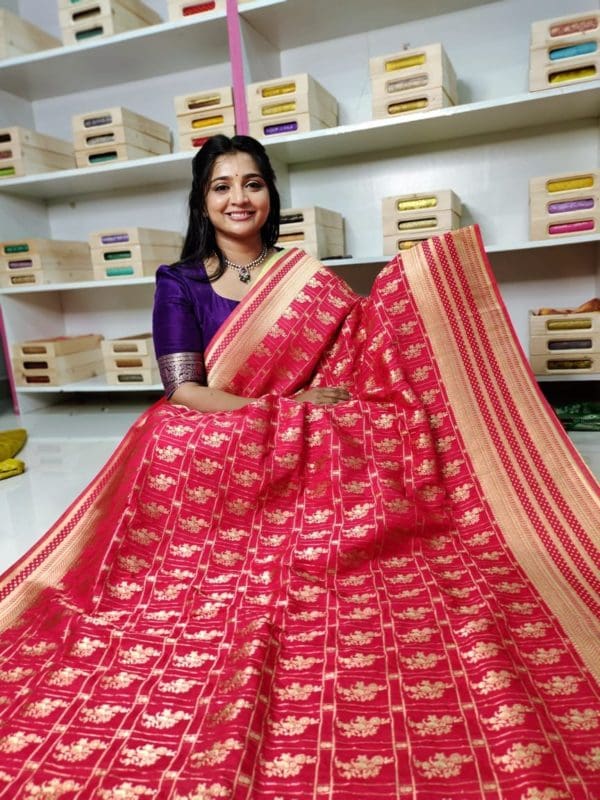 Banarasi Georgette saree