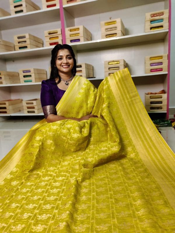Banarasi Georgette saree