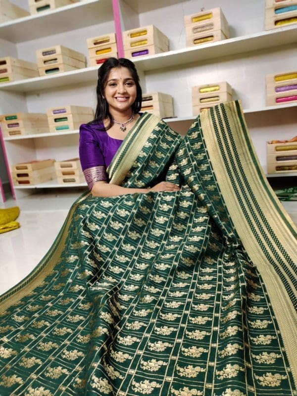 Banarasi Georgette saree