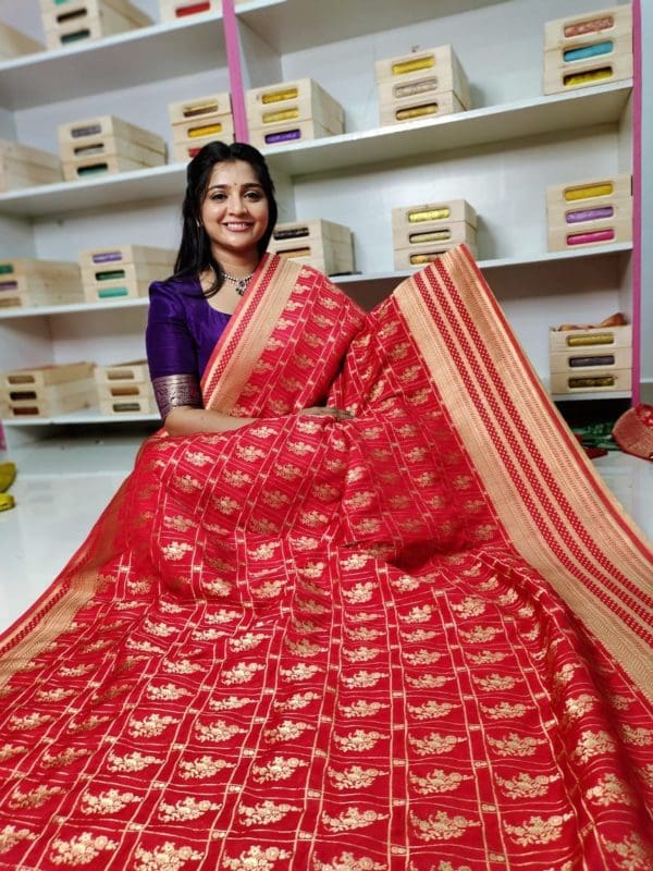 Banarasi Georgette saree