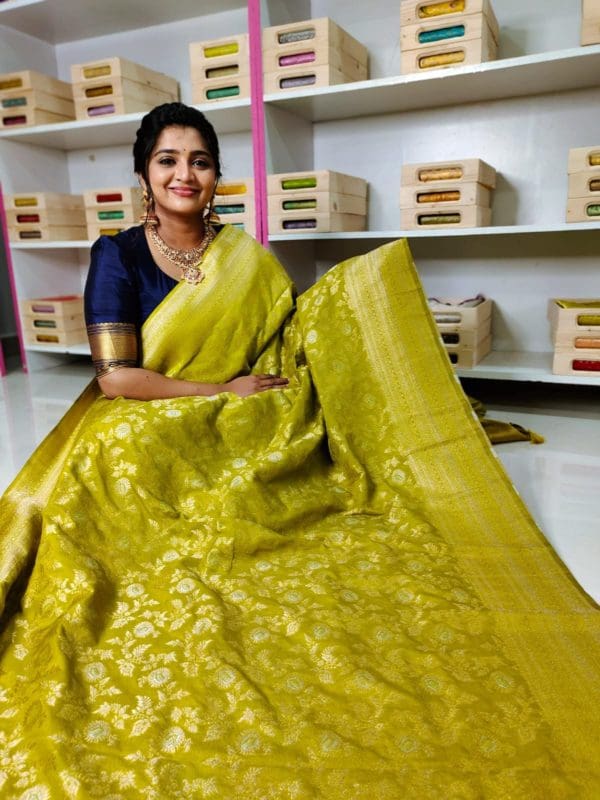 Banarasi Georgette saree with kanchi boaders with blouse