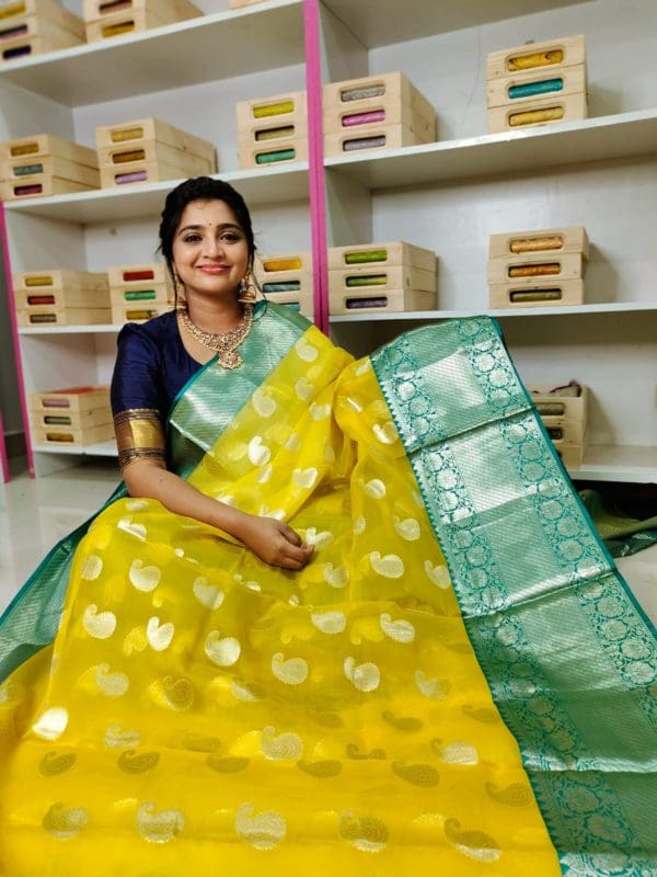 Banarasi organza silk saree