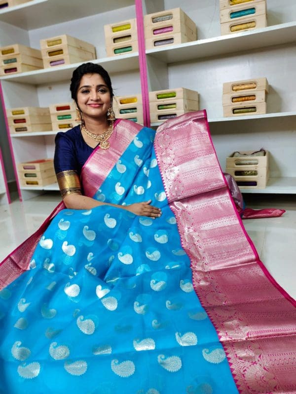 Banarasi organza silk saree