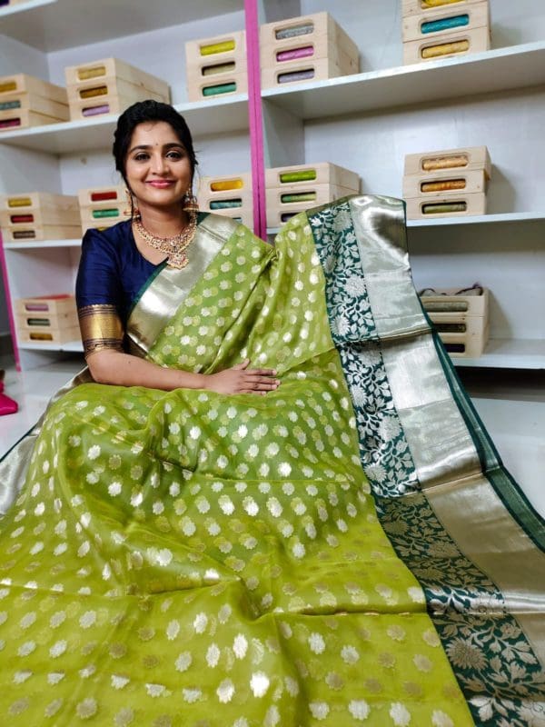 Banarasi organza silk saree