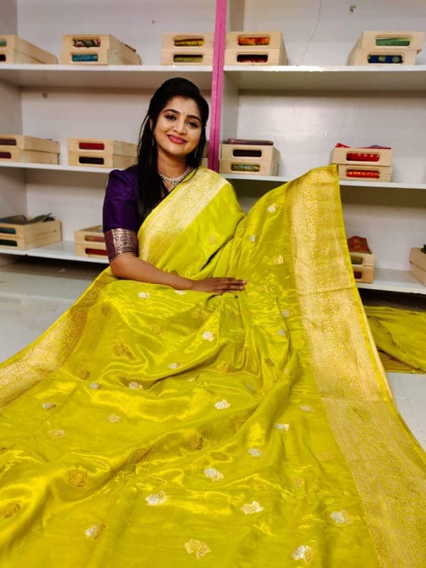 Mashroom dola silk saree