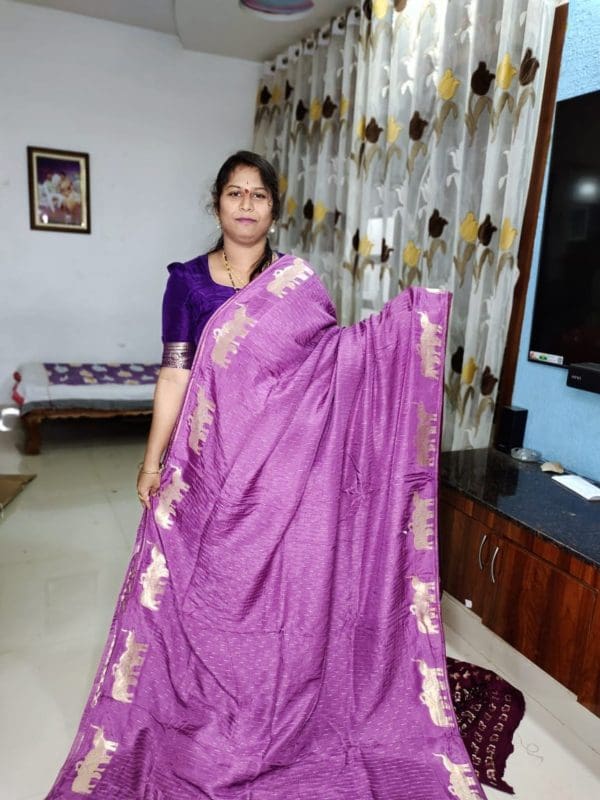 Banarasi rawmango silk sarees
