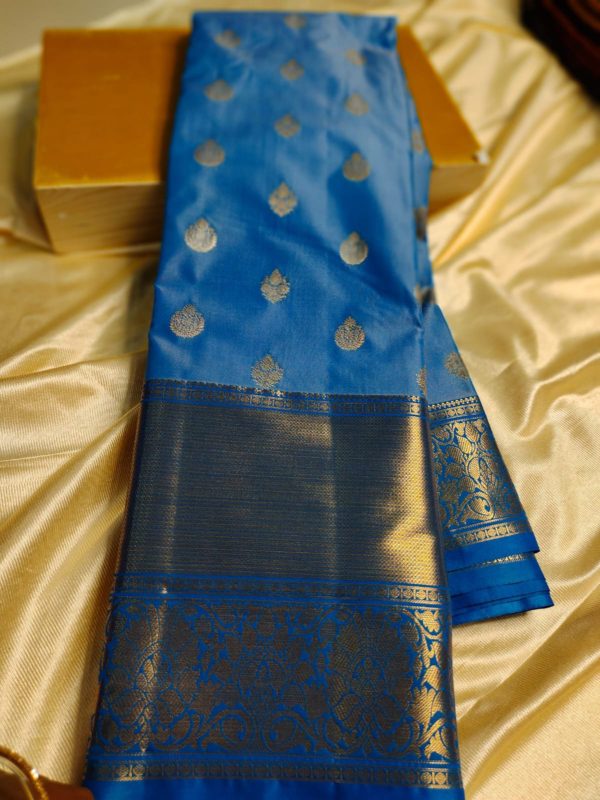 Light weight kanchi pattu collection