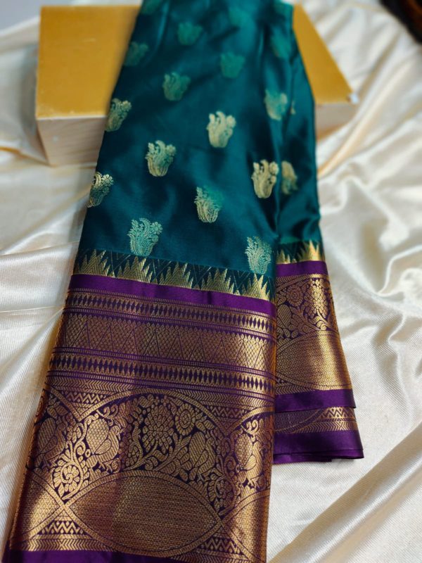 Light weight kanchi pattu collection