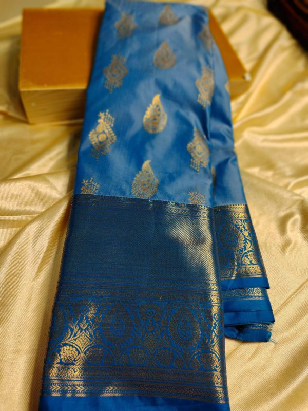 Light weight kanchi pattu collection