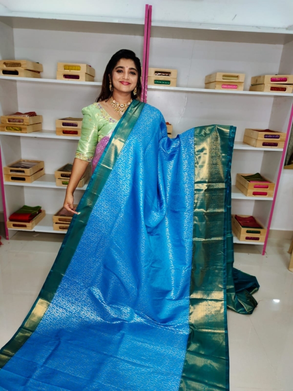 80% kanchi pattu collection