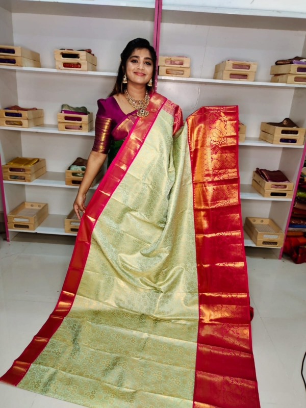80% kanchi pattu collection