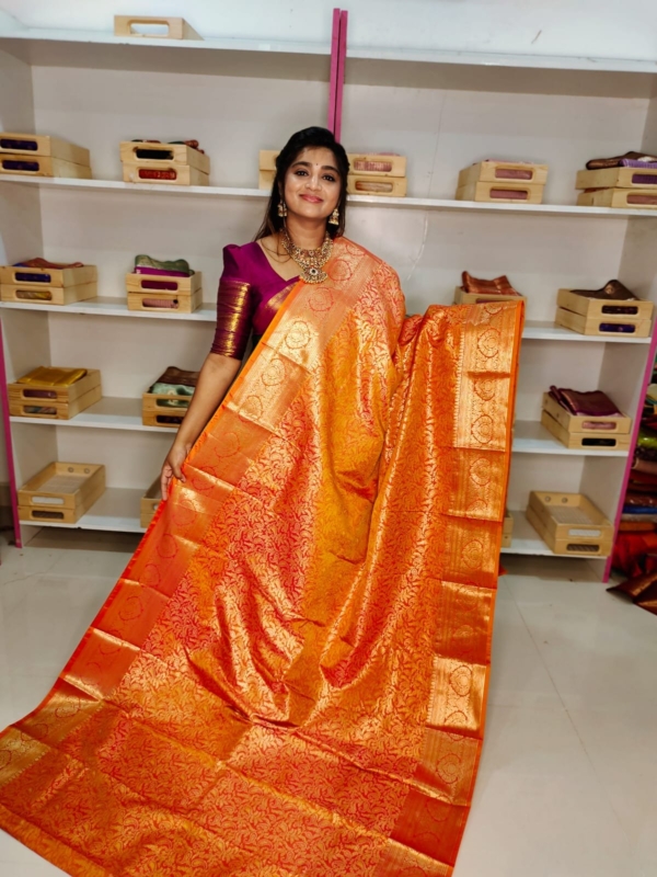 80% kanchi pattu collection