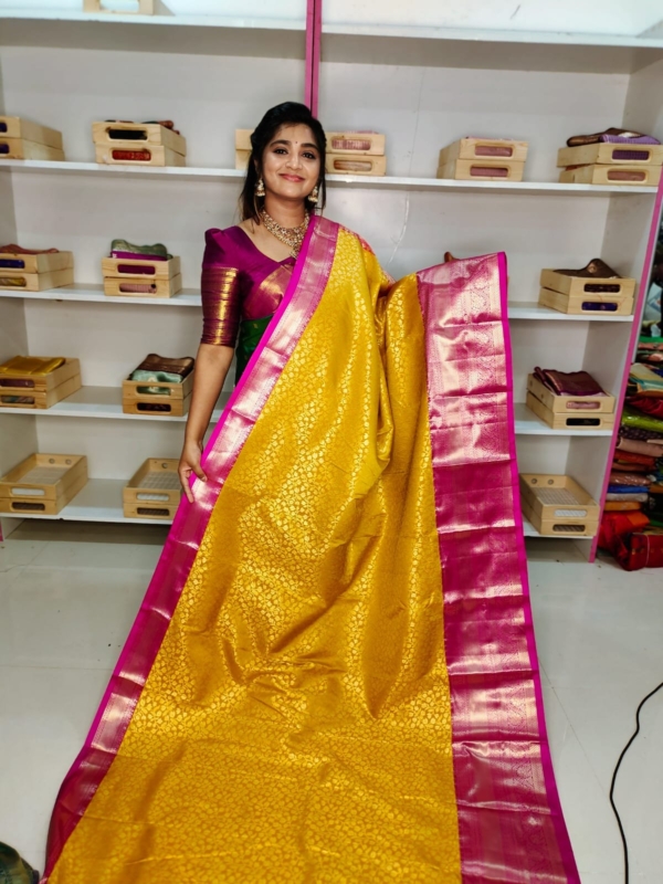 80% kanchi pattu collection