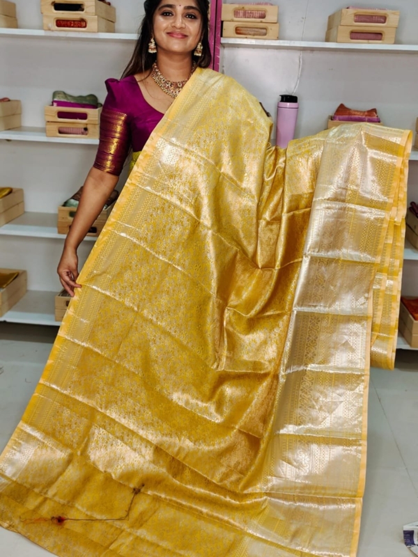 80% kanchi pattu collection