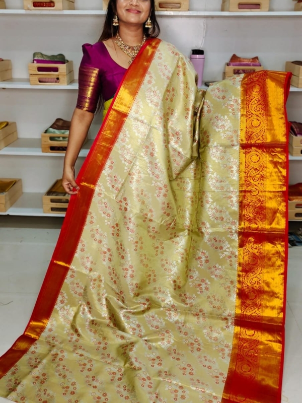 80% kanchi pattu collection