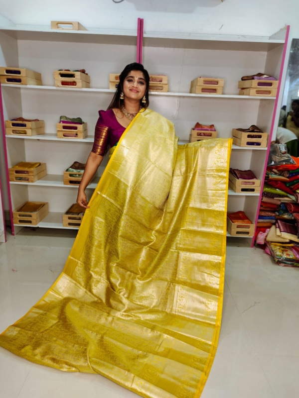 80% kanchi pattu collection