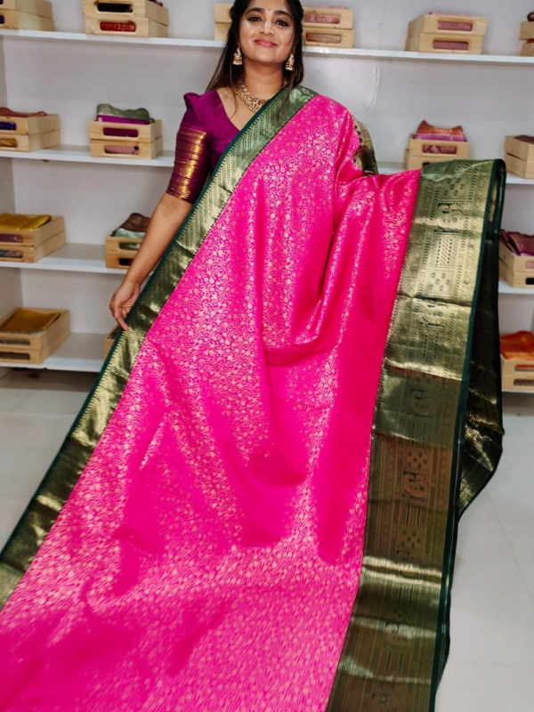 80% kanchi pattu collection
