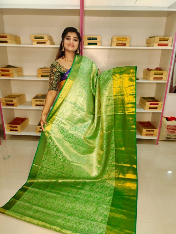 80% kanchi pattu collection