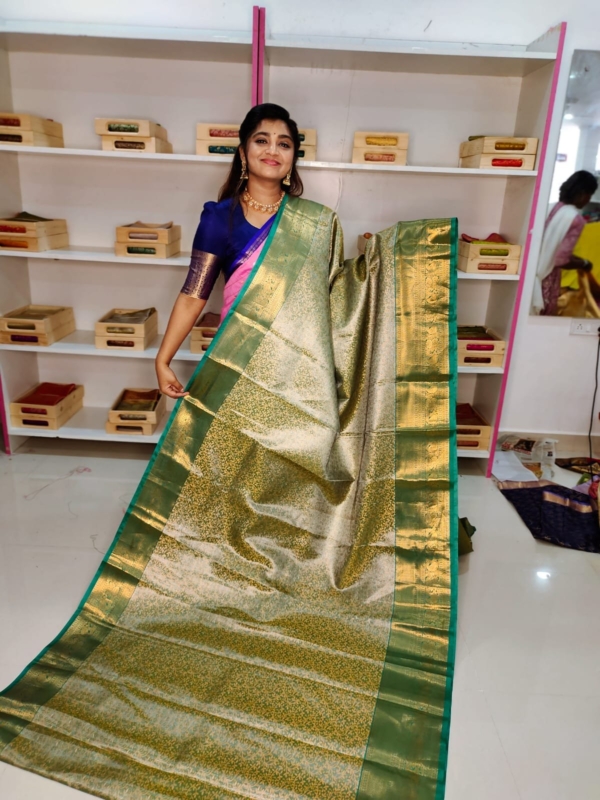 80% kanchi pattu collection