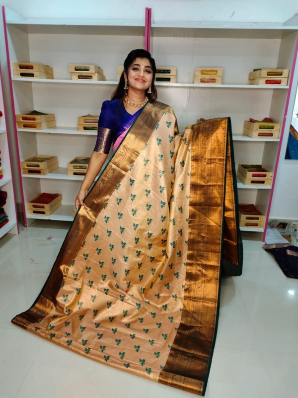 80% kanchi pattu collection