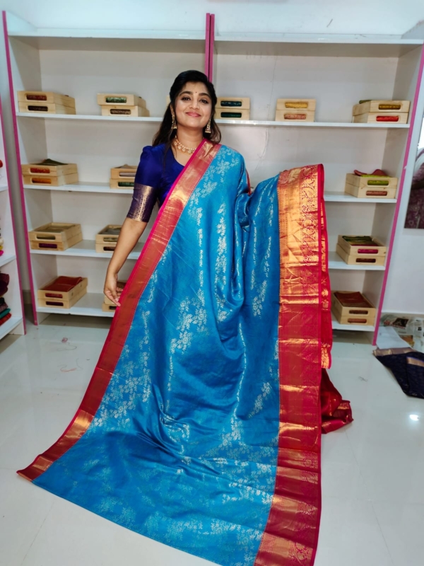 80% kanchi pattu collection